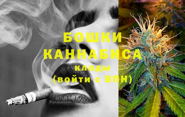 винт Абаза