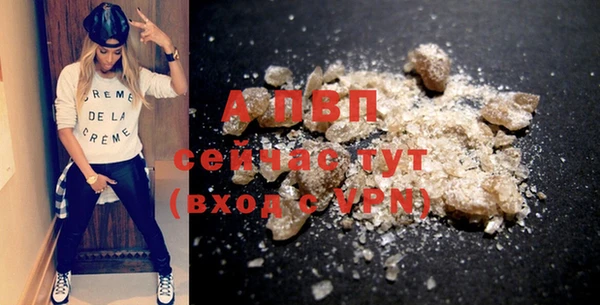 винт Абаза