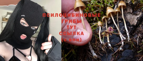 синтетический гашиш Нефтекумск