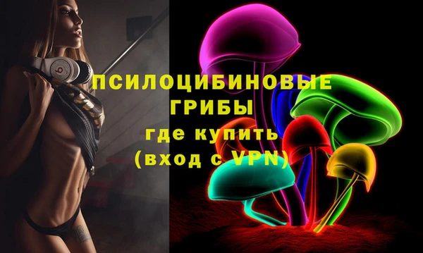 винт Абаза